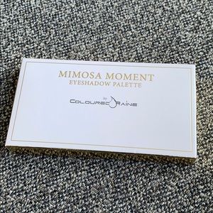 🎇reserved🎇 Colored raine mimosa moments palette